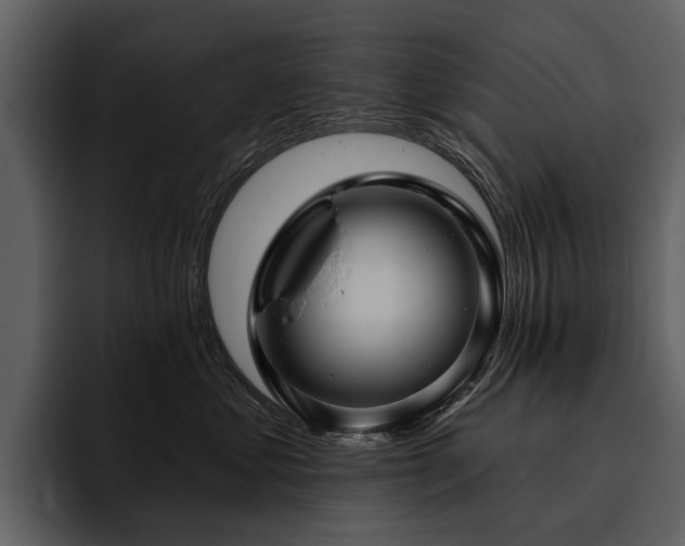 X0000095920621200801111236