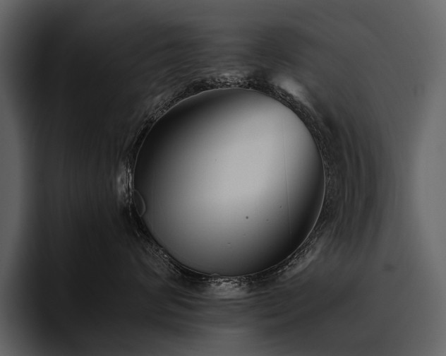 X0000095920624200801111236