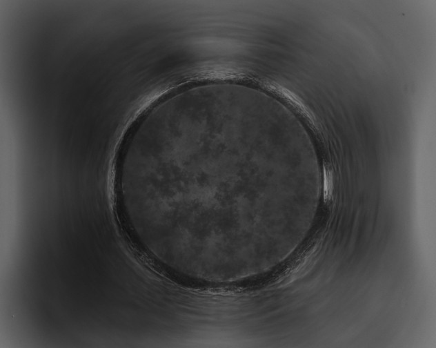 X0000095920627200801111236