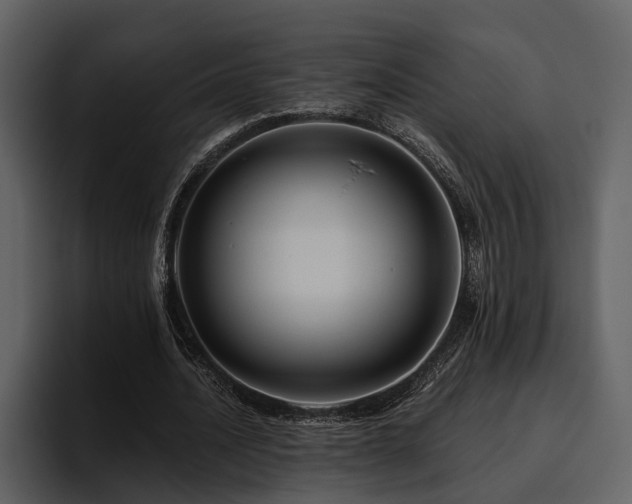 X0000095920628200801111236