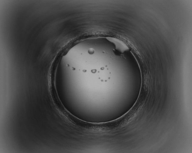 X0000095920629200801111236