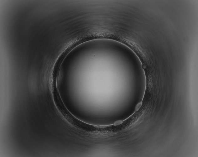 X0000095920630200801111236