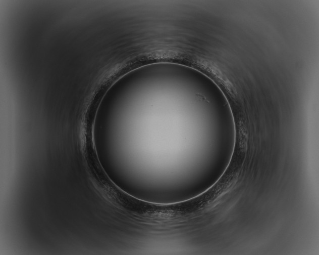 X0000095920631200801111236