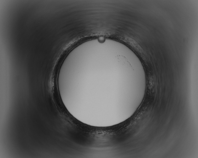 X0000095920632200801111236