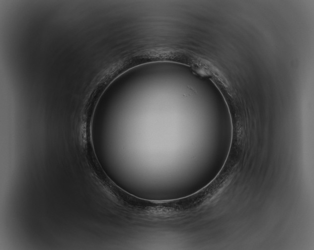 X0000095920633200801111236