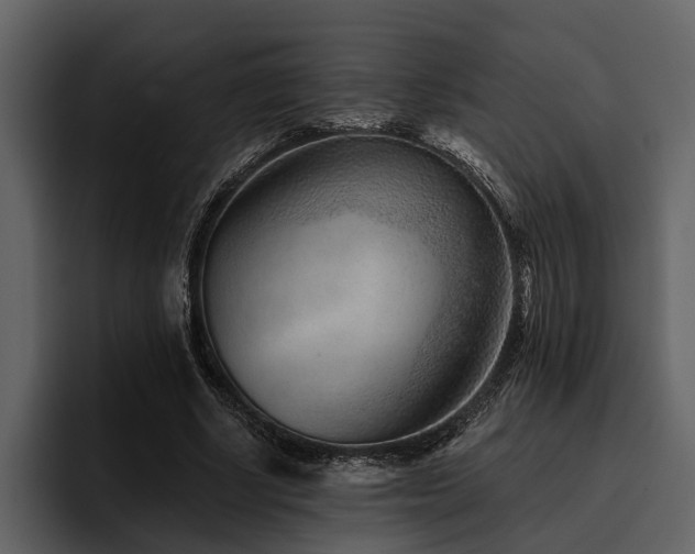 X0000095920634200801111236