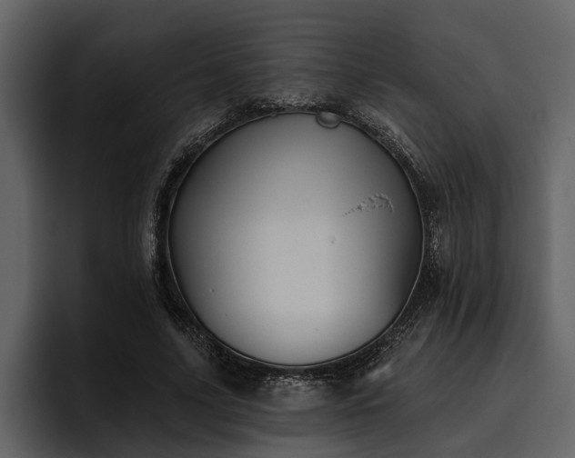 X0000095920635200801111236