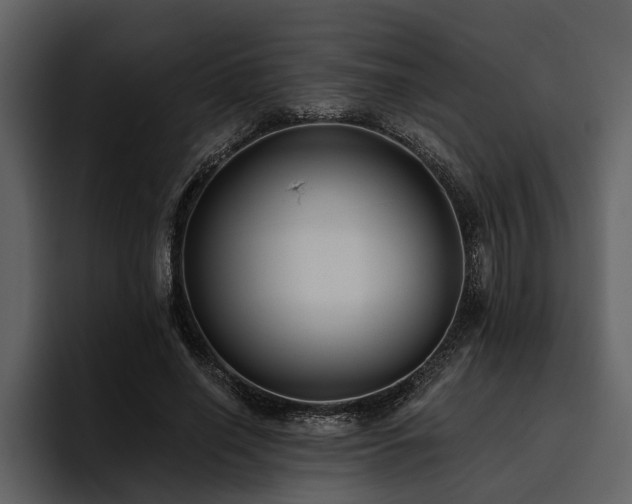X0000095920638200801111236