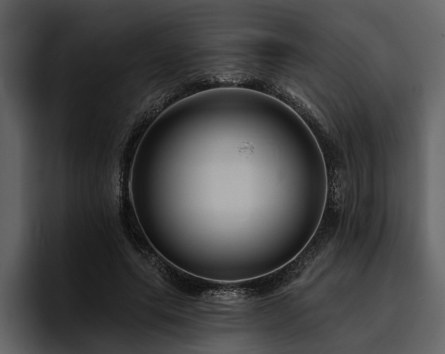X0000095920639200801111236