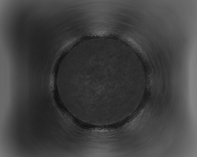 X0000095920640200801111236