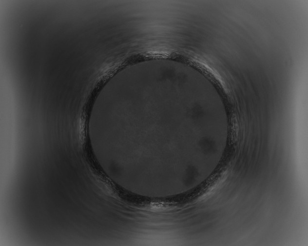 X0000095920641200801111236
