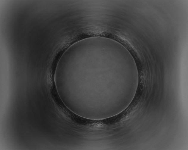 X0000095920642200801111236