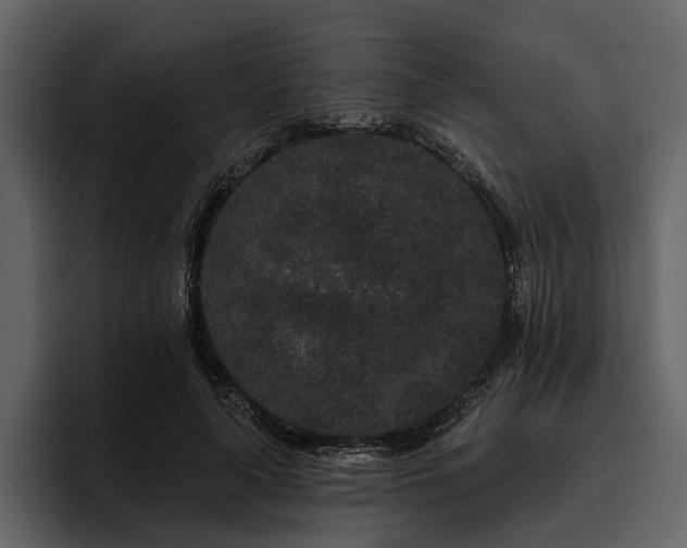 X0000095920643200801111236