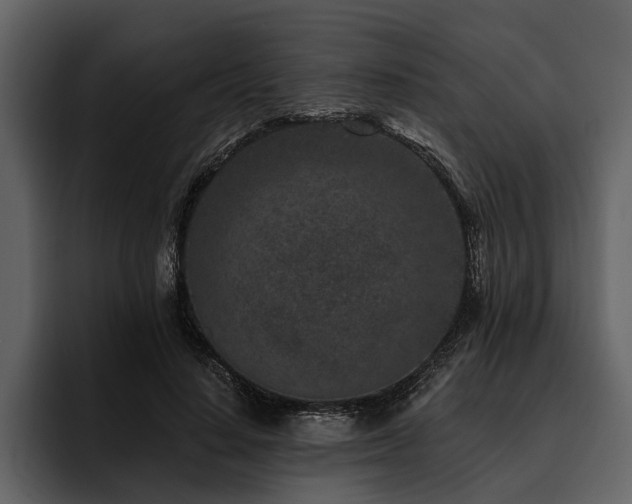X0000095920644200801111236