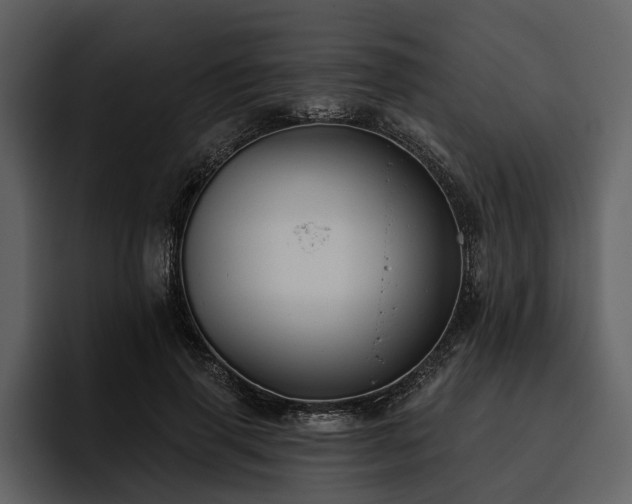 X0000095920645200801111236