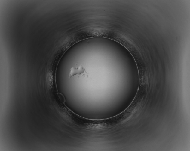 X0000095920646200801111236