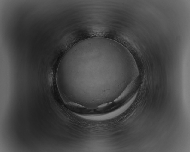 X0000095920647200801111236