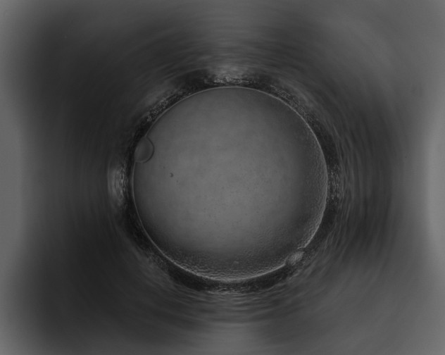 X0000095920648200801111236