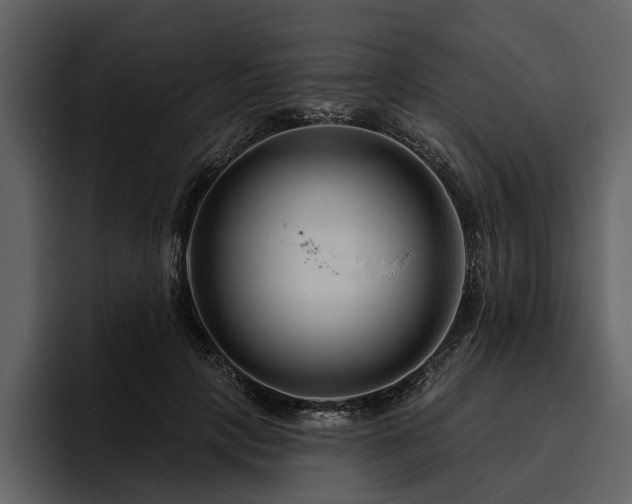 X0000095920649200801111236