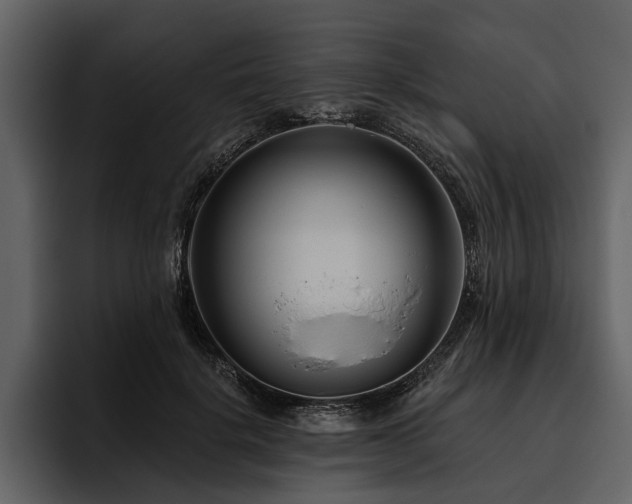 X0000095920652200801111236