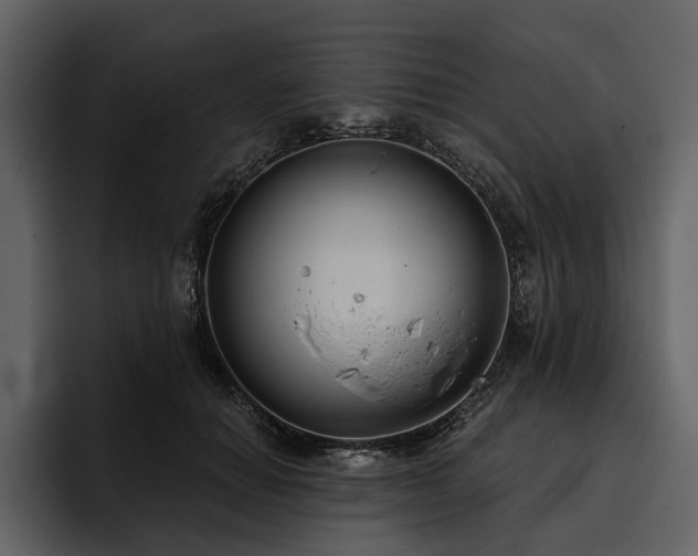 X0000095920654200801111236