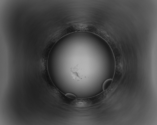 X0000095920658200801111236