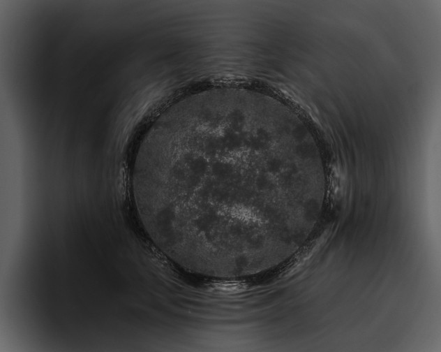 X0000095920659200801111236