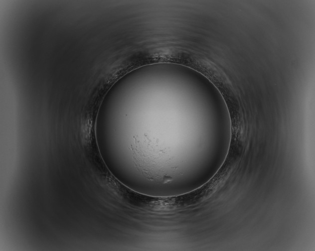 X0000095920660200801111236