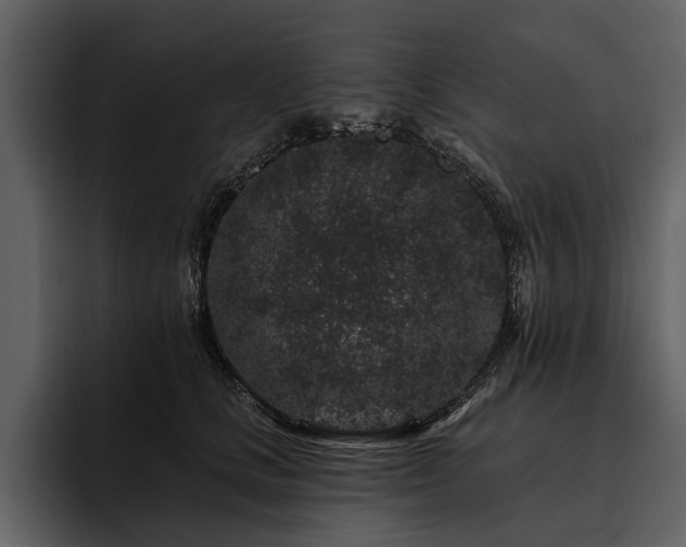X0000095920661200801111236