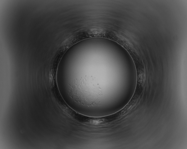 X0000095920662200801111236