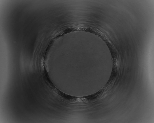 X0000095920663200801111236