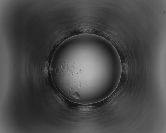 X0000095920664200801111236