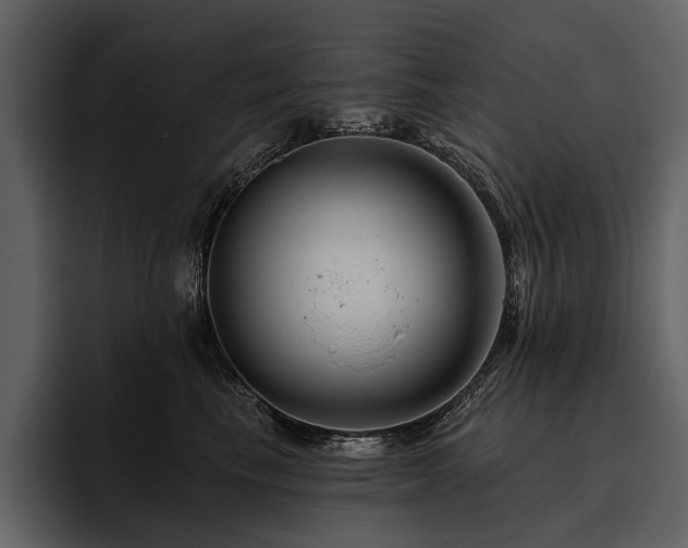 X0000095920665200801111236