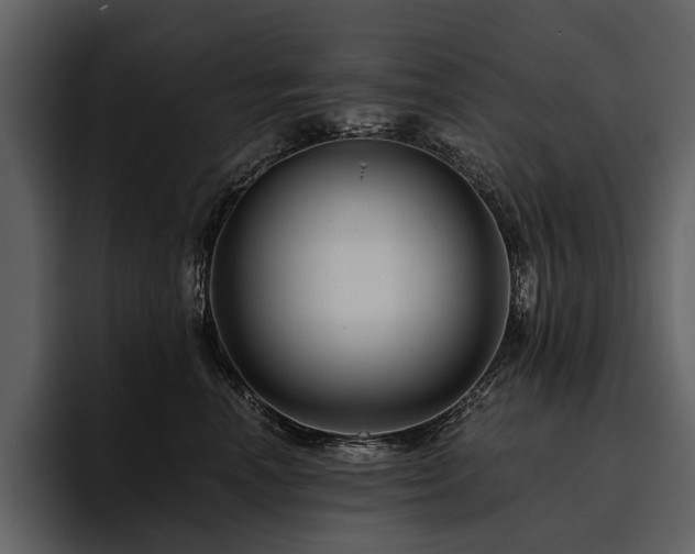X0000095920666200801111236