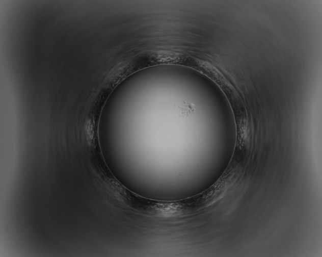 X0000095920667200801111236