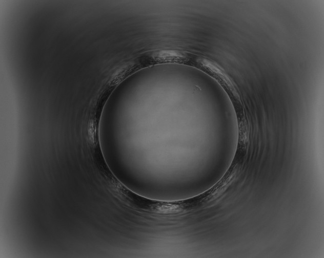 X0000095920669200801111236