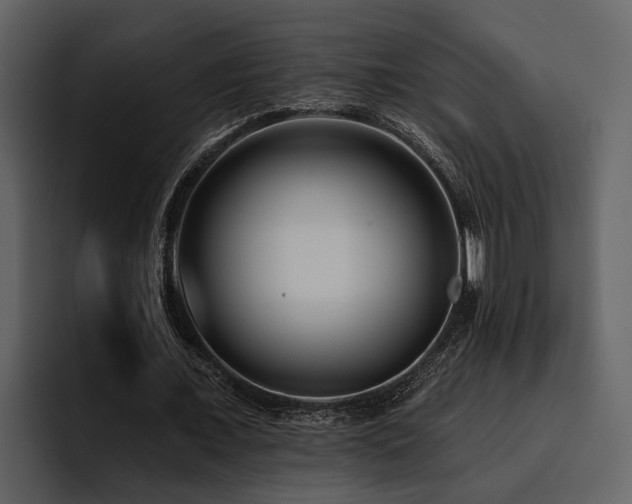 X0000095920675200801111236