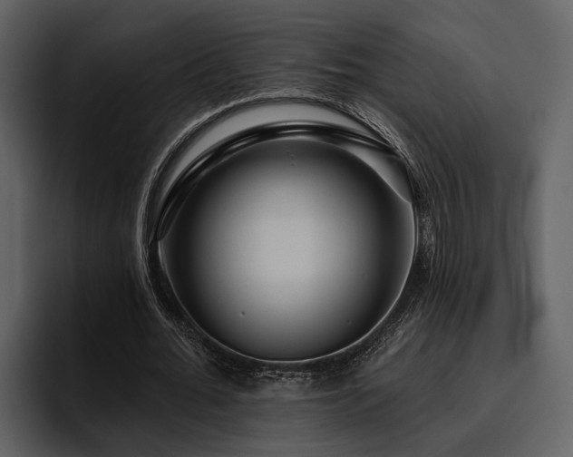 X0000095920676200801111236