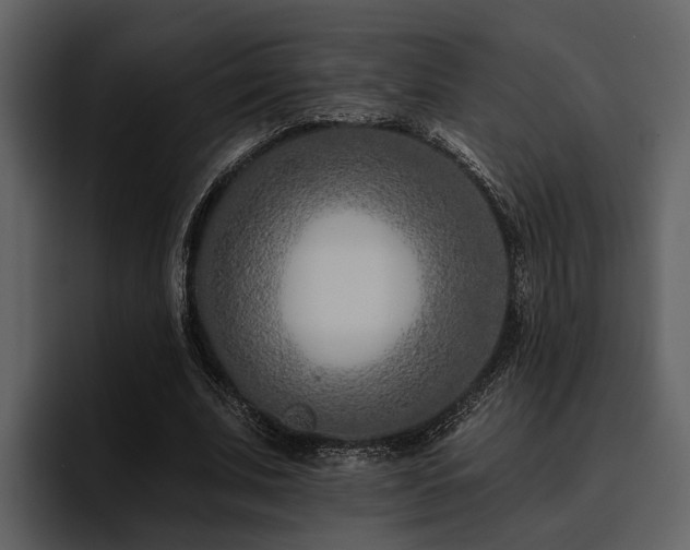 X0000095920679200801111235