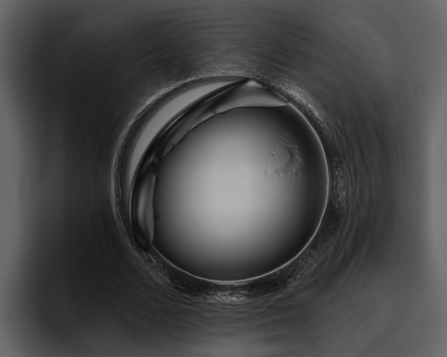 X0000095920680200801111235
