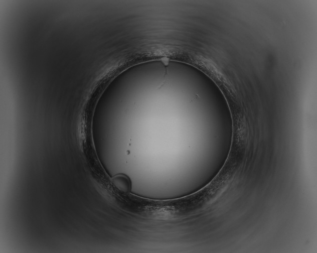 X0000095920683200801111235