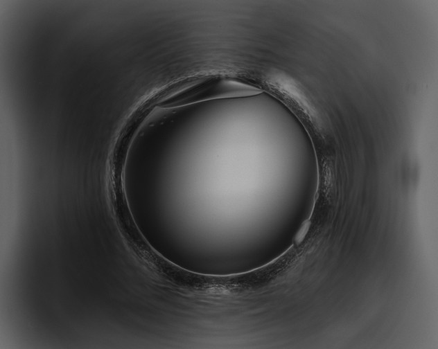X0000095920684200801111235