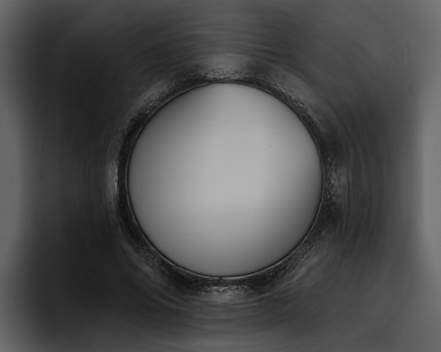 X0000095920686200801111235