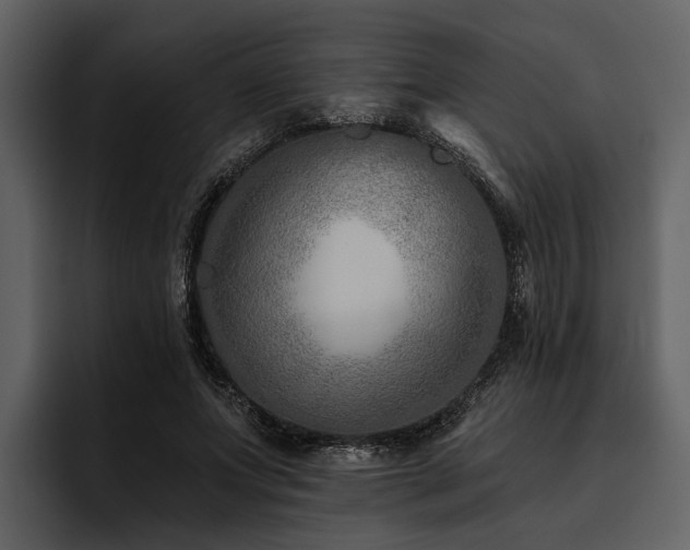 X0000095920687200801111235