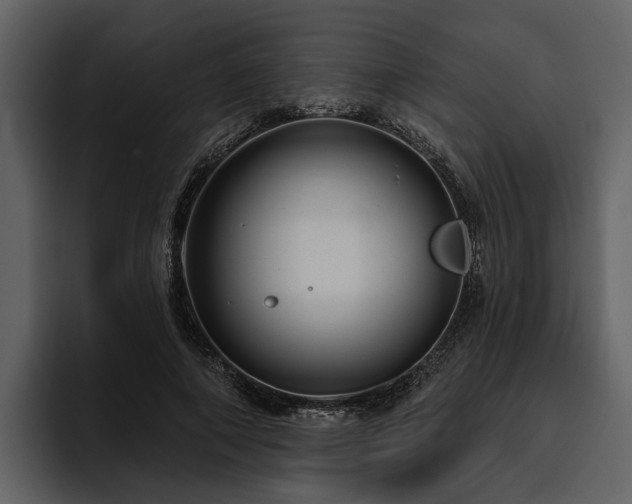 X0000095920690200801111235