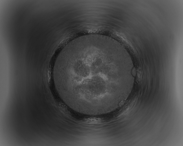X0000095920691200801111235