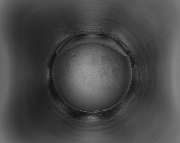 X0000095920692200801111235