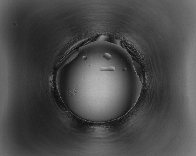 X0000095920693200801111235