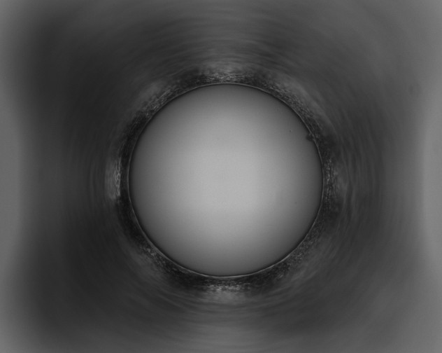 X0000095920694200801111235