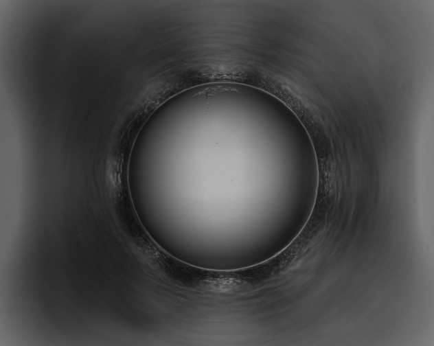 X0000095920695200801111235